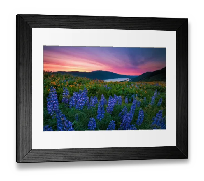 Framed Print : Wildflower Sunrise Framed Print : Wildflower Sunrise