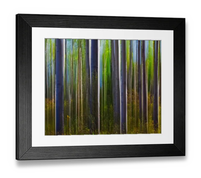 Framed Print : Jasper Aspens Framed Print : Jasper Aspens