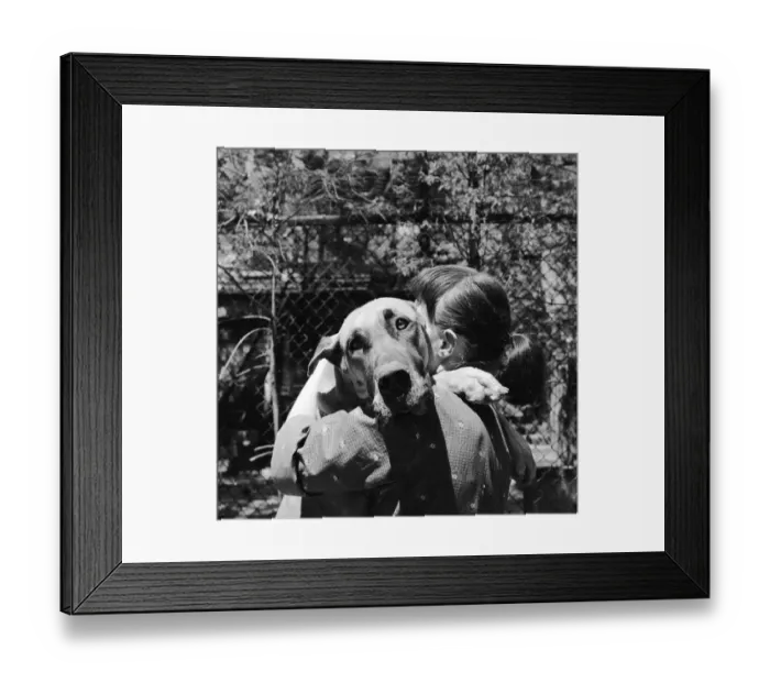 Framed Print : Hug A Dog. One of the canine actors at Miss d Essens New York animal acting Framed Print : Hug A Dog. One of the canine actors at Miss d Essens New York animal acting