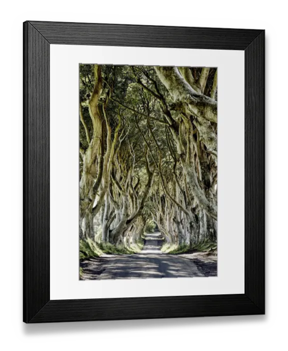 Framed Print : The Dark Hedges, Ballymoney, Ireland Framed Print : The Dark Hedges, Ballymoney, Ireland