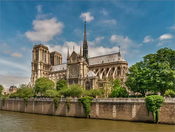 Notre-Dame Cathedral in the spring, Paris, France