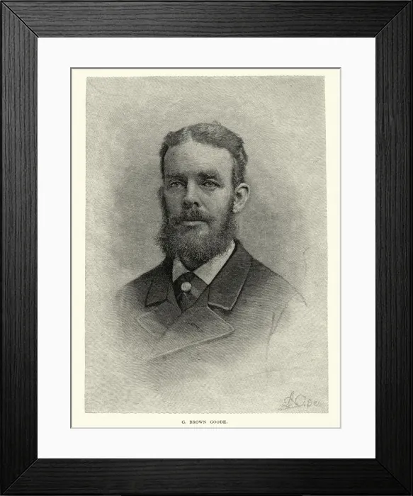 Framed Print : Portrait of George Brown Goode Framed Print : Portrait of George Brown Goode
