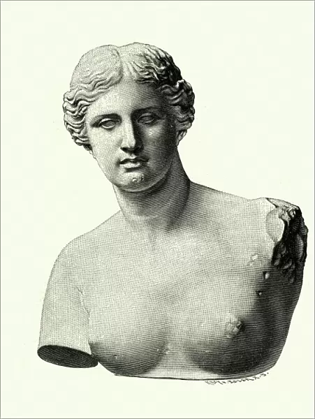Aphrodite of Milos, Venus de Milo