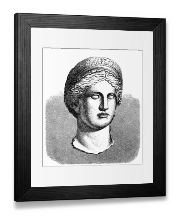Framed Print : Bust of the goddess Hera Framed Print : Bust of the goddess Hera