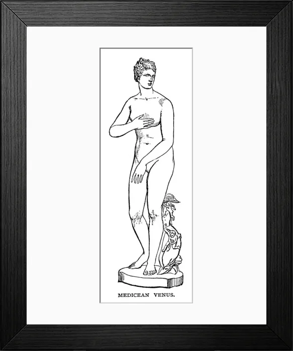 Framed Print : Medicean Venus Framed Print : Medicean Venus