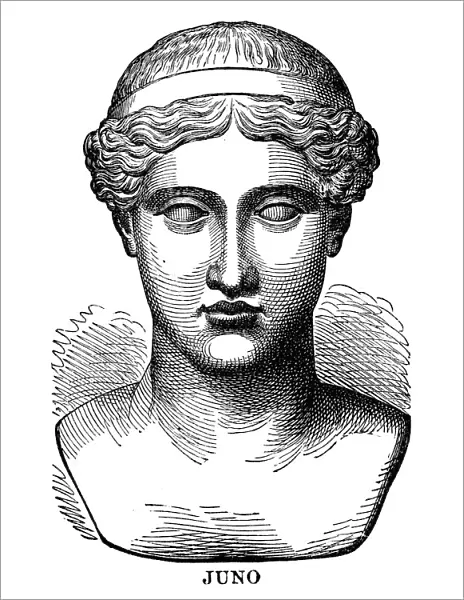 Juno, roman goddess