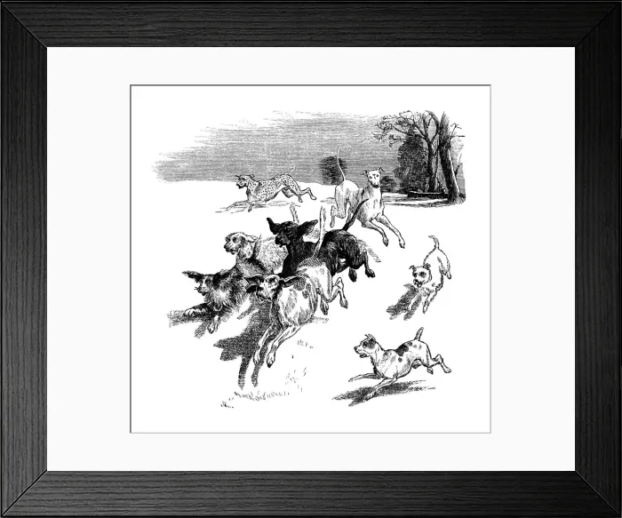 Framed Print : Pack of running dogs Framed Print : Pack of running dogs