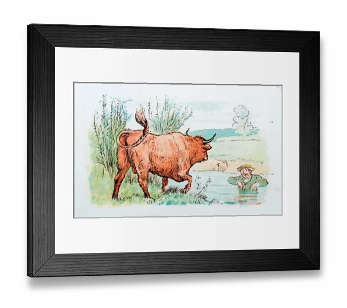 Framed Print : Antique color illustration by Randolph Caldecott: Man attacked by bull Framed Print : Antique color illustration by Randolph Caldecott: Man attacked by bull