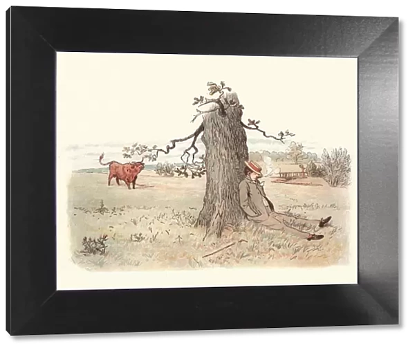Victorian man relaxing by a tree, bull watches him