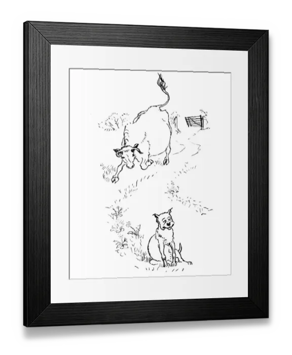 Framed Print : Cow with the crumpled horn Framed Print : Cow with the crumpled horn