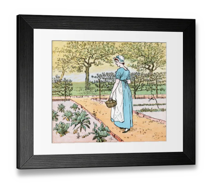Framed Print : Woman in a vegetable garden Framed Print : Woman in a vegetable garden