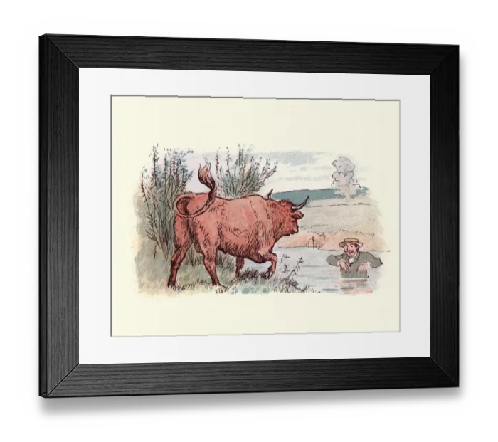 Framed Print : Man hiding in a river from a bull