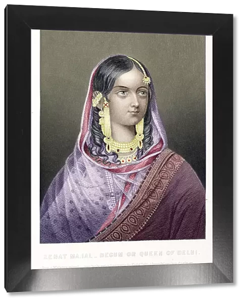Zenat Mahal Begum or Queen of Delhi