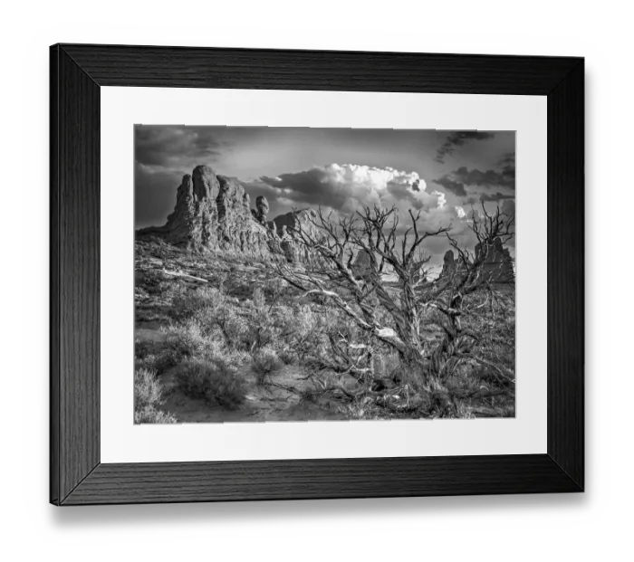 Framed Print : Arches National Park Framed Print : Arches National Park