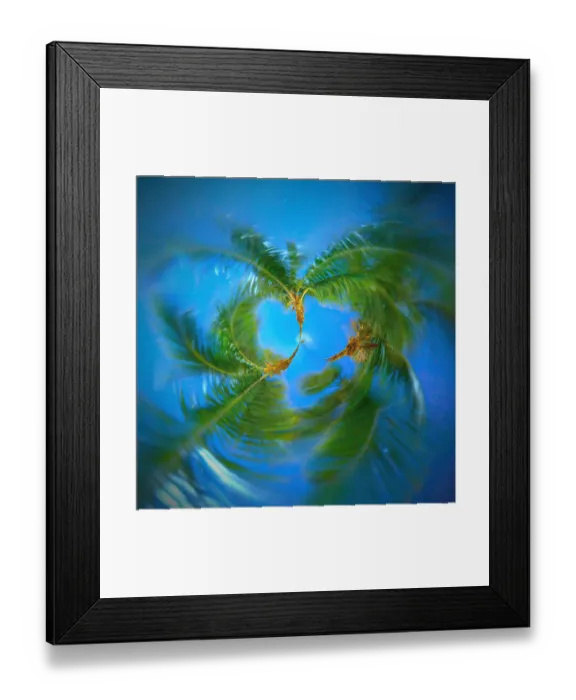 Framed Print : Palm Trees Tiny Planet Framed Print : Palm Trees Tiny Planet