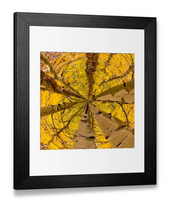 Framed Print : Autumn Tiny Planet Framed Print : Autumn Tiny Planet