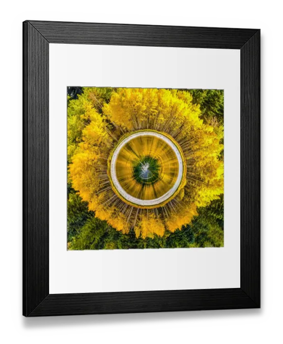 Framed Print : Golden Aspens Tiny Planet Framed Print : Golden Aspens Tiny Planet