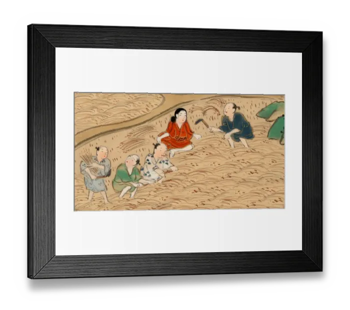 Framed Print : Chinese peasants gathering rice Framed Print : Chinese peasants gathering rice
