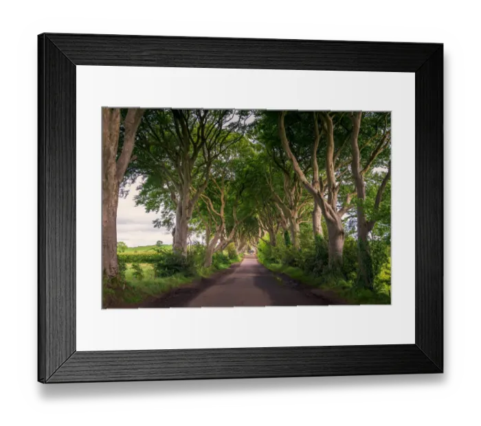 Framed Print : The Dark Hedges Framed Print : The Dark Hedges