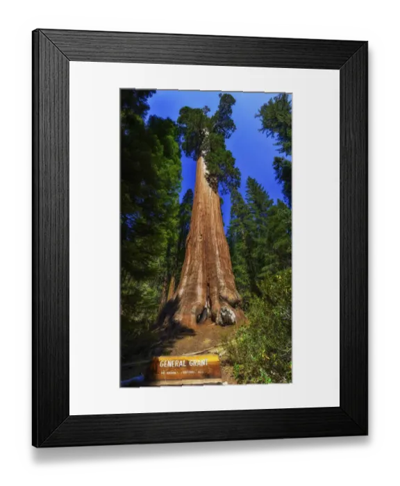 Framed Print : General Grant Framed Print : General Grant