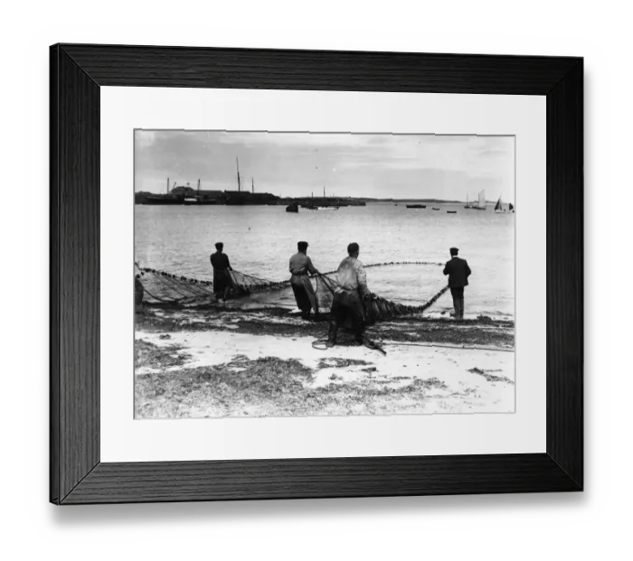 Framed Print : Full Nets. circa 1900: Fishermen bringing in the catch in the Scilly Isles Framed Print : Full Nets. circa 1900: Fishermen bringing in the catch in the Scilly Isles