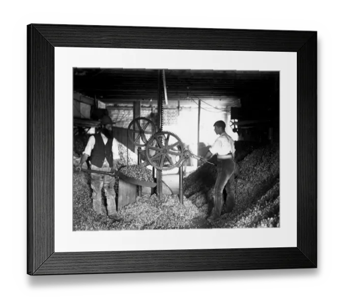 Framed Print : Hop Packers Framed Print : Hop Packers