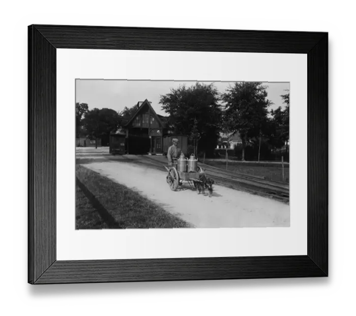 Framed Print : Dutch Dairy Framed Print : Dutch Dairy