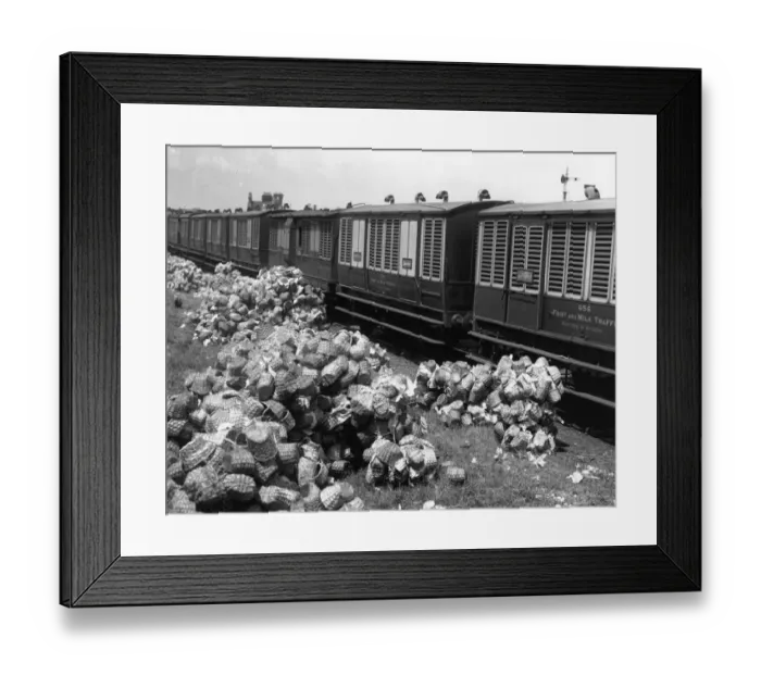 Framed Print : Strawberry Transport Framed Print : Strawberry Transport