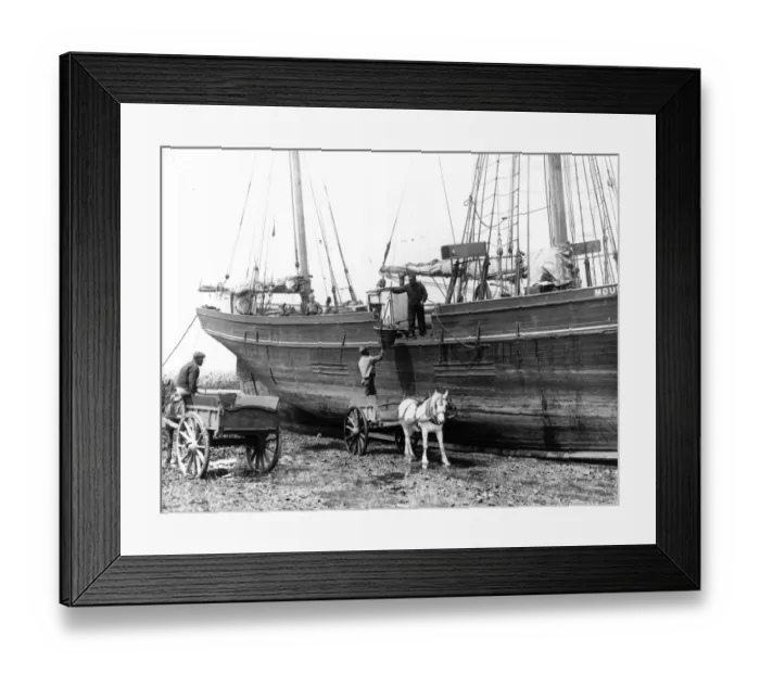 Framed Print : The Days Catch Framed Print : The Days Catch