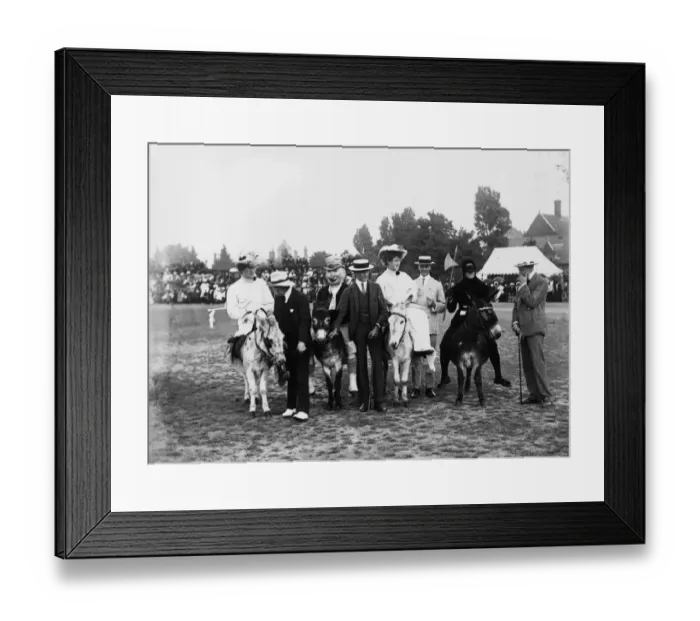Framed Print : Donkey Rides Framed Print : Donkey Rides