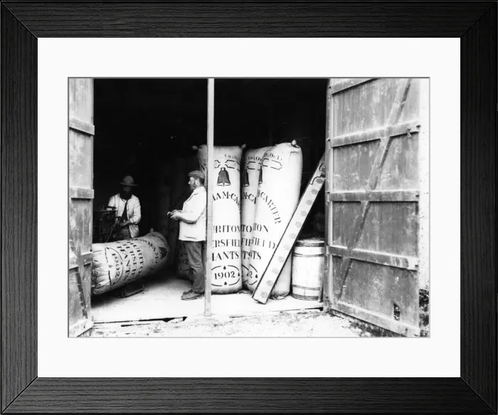 Framed Print : Hop Sacks. circa 1900: Full hop sacks ready for distribution Framed Print : Hop Sacks. circa 1900: Full hop sacks ready for distribution