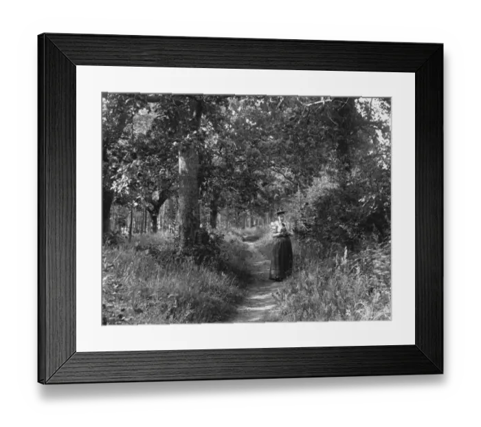Framed Print : Picking Flowers Framed Print : Picking Flowers