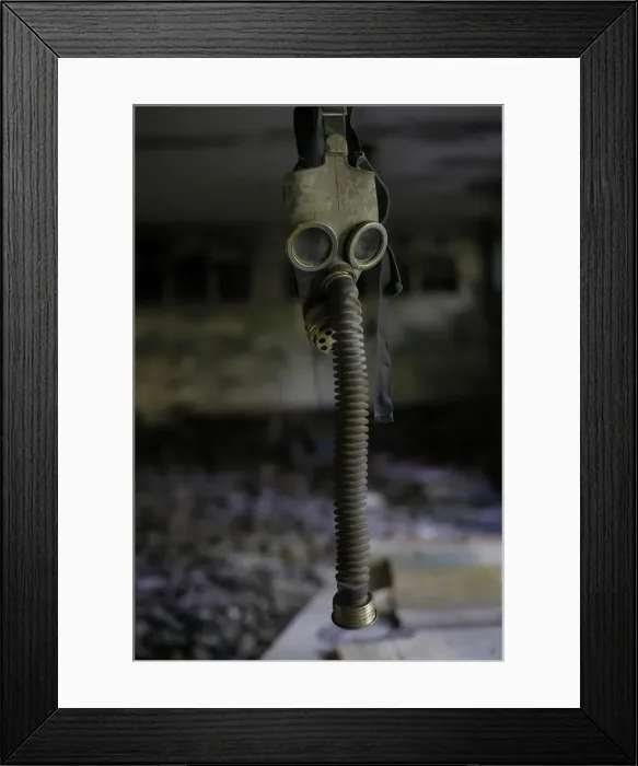 Framed Print : Chernobyl Exclusion Zone Framed Print : Chernobyl Exclusion Zone