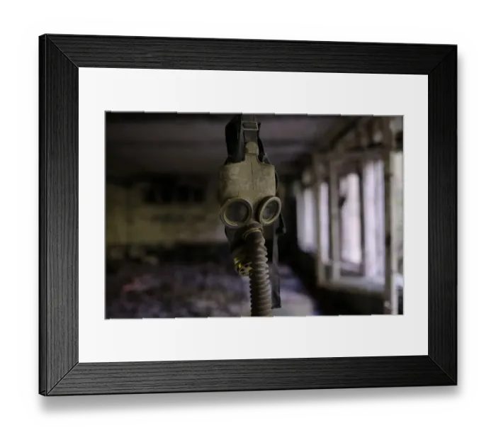 Framed Print : Chernobyl Exclusion Zone Framed Print : Chernobyl Exclusion Zone
