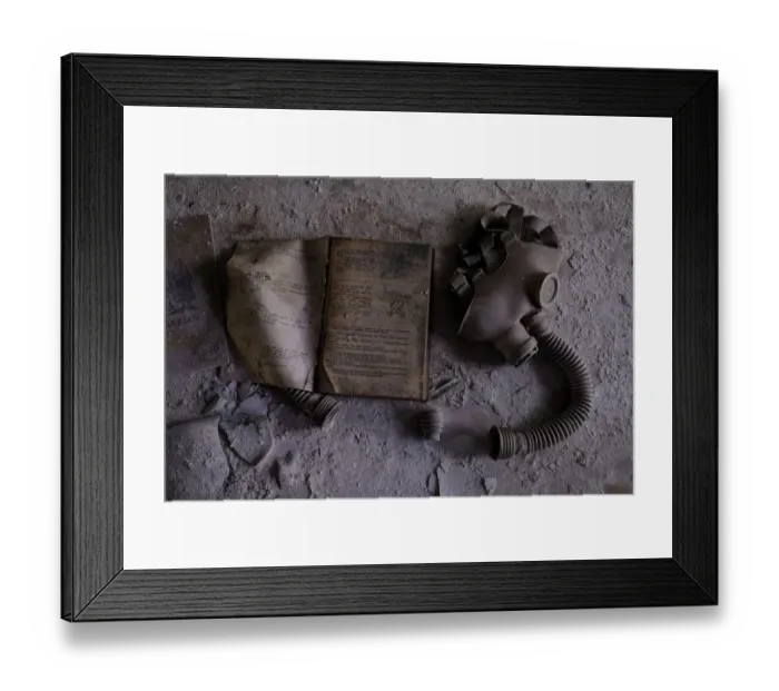 Framed Print : Chernobyl Exclusion Zone Framed Print : Chernobyl Exclusion Zone