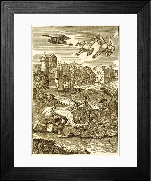 Framed Print : Catching birds with a nest antique engraving Framed Print : Catching birds with a nest antique engraving