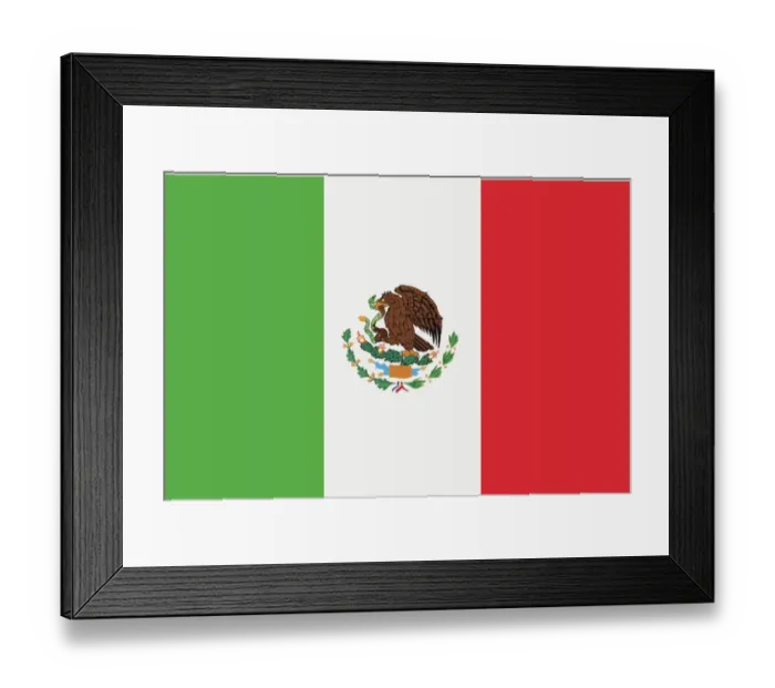 : Mexico Flag Illustration : Mexico Flag Illustration