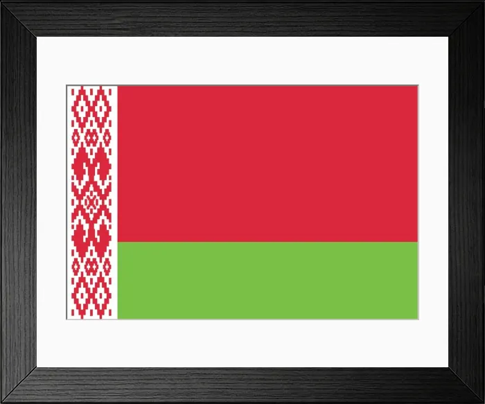 Framed Print : Flag of Belarus Framed Print : Flag of Belarus