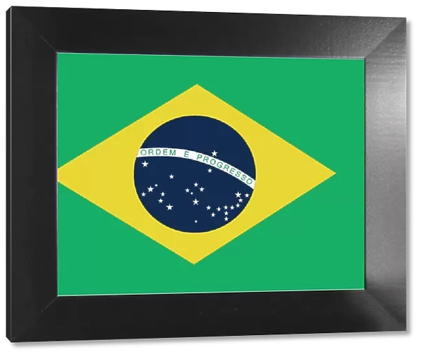 Brazilian Flag (Official Colors)
