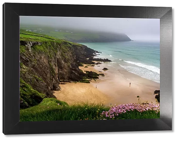 Slea Head beach on a foggy day, Dingle Peninsula, County Kerry, Munster Province, Ireland