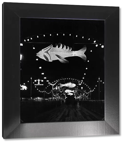 Illuminated Fish