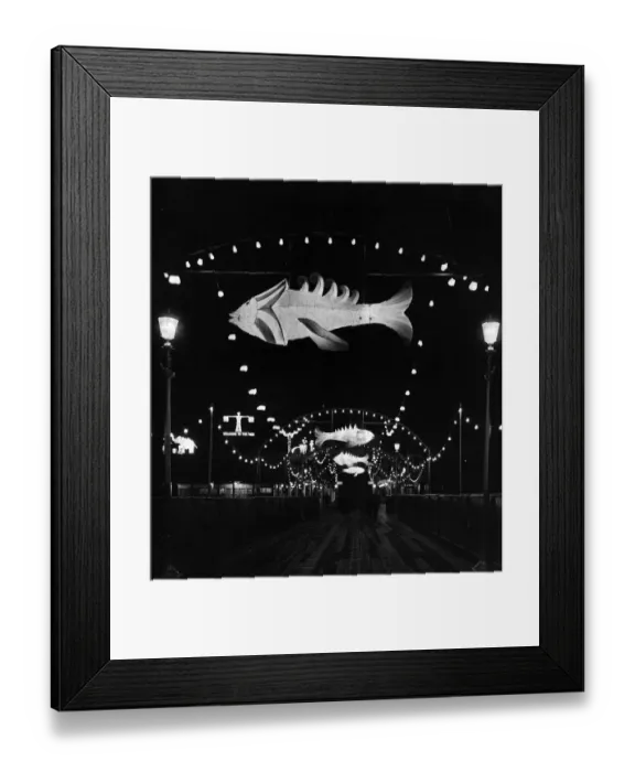 Framed Print : Illuminated Fish Framed Print : Illuminated Fish