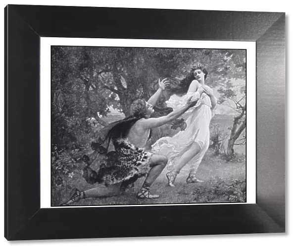Antique photo of paintings: Apollo and Daphne