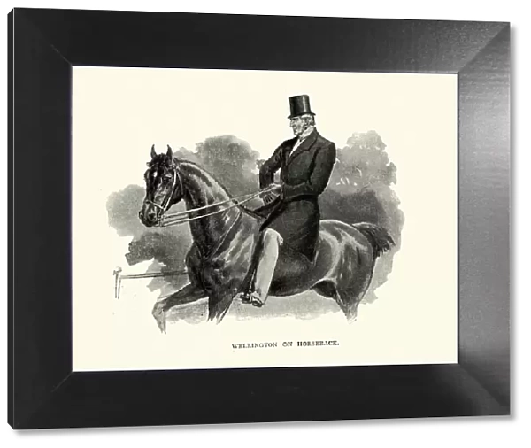 Duke of Wellington riding a horse, as old man