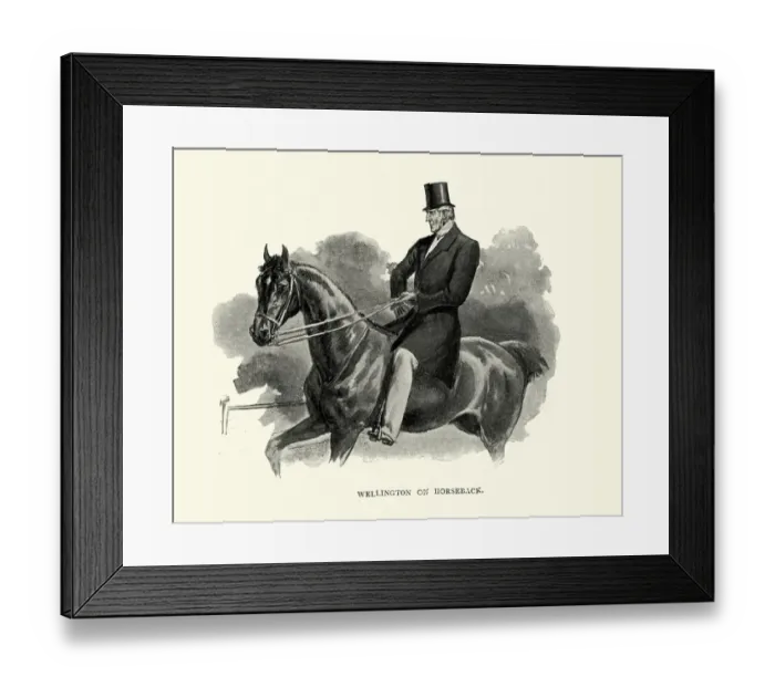 Framed Print : Duke of Wellington riding a horse, as old man Framed Print : Duke of Wellington riding a horse, as old man