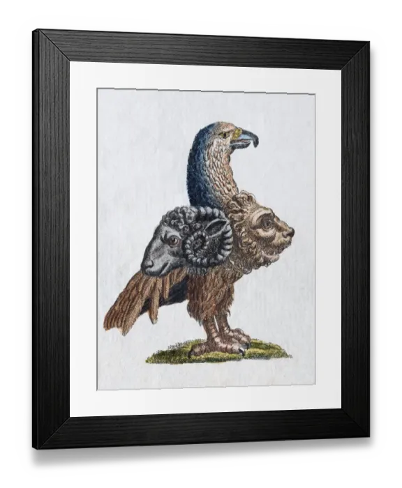 Framed Print : Gryllus, handcoloured copper engraving from Friedrich Justin Bertuch Picture book for children Framed Print : Gryllus, handcoloured copper engraving from Friedrich Justin Bertuch Picture book for children