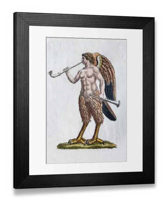 Framed Print : Siren, hand - colored copper engraving from Friedrich Justin Bertuch Picture book for children Framed Print : Siren, hand - colored copper engraving from Friedrich Justin Bertuch Picture book for children