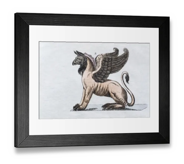 Framed Print : Griffin, hand - colored engraving from Friedrich Justin Bertuch Picture book for children Framed Print : Griffin, hand - colored engraving from Friedrich Justin Bertuch Picture book for children