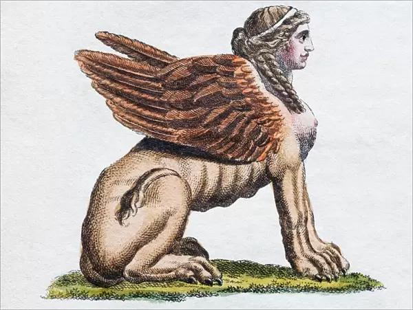 Egyptian Sphinx, handcoloured copper engraving from Friedrich Justin Bertuch Picture
