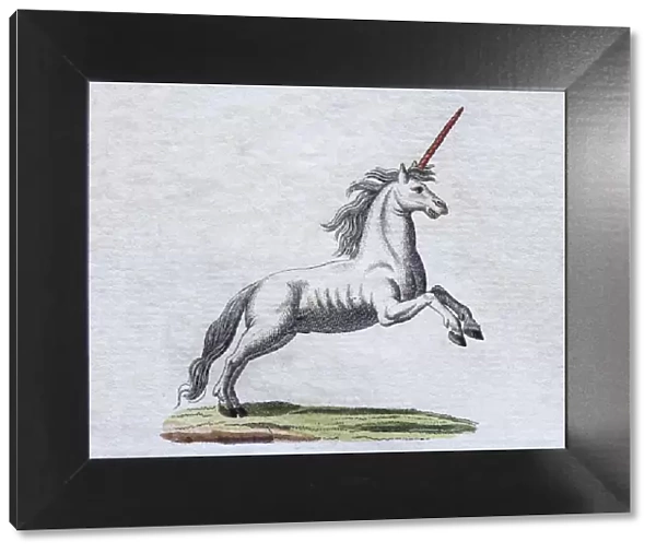 Unicorn, hand-colored copper engraving from childrens picture book by Friedrich Justin Bertuch